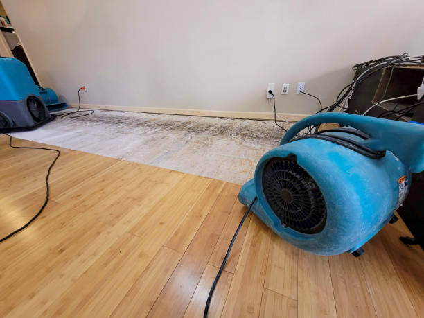 Professional Basement Flood Cleanup technician working in Jonesborough, TN